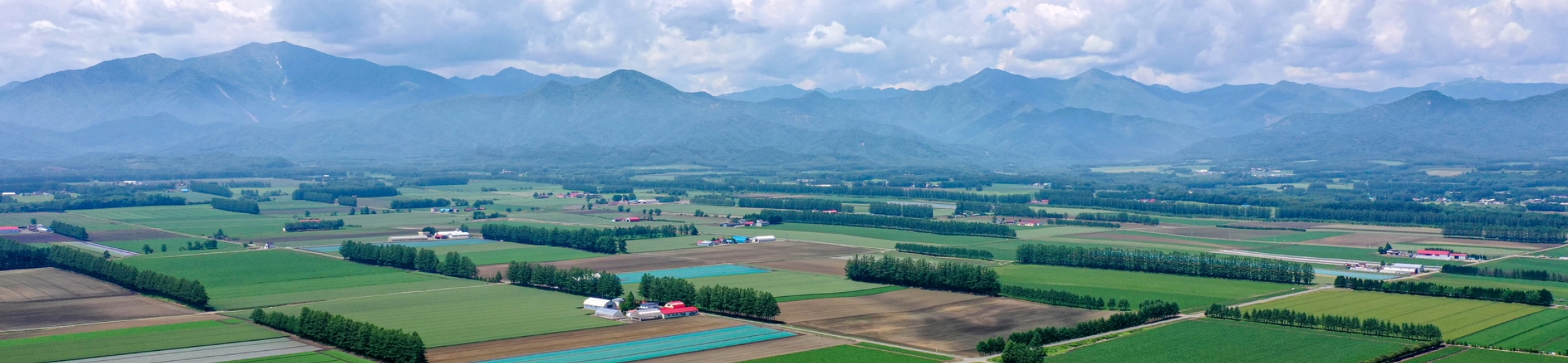 十勝独特の風景